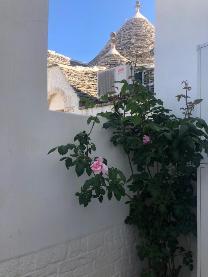 Nido Di Pietra-Dimora In Centro Bed and Breakfast Αλμπερομπέλο Εξωτερικό φωτογραφία